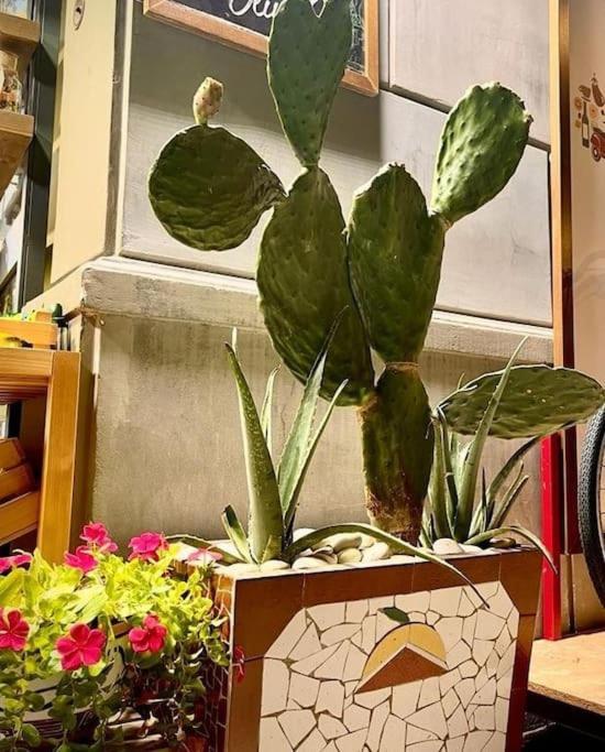 パレルモLa Casa Di Evaアパートメント エクステリア 写真